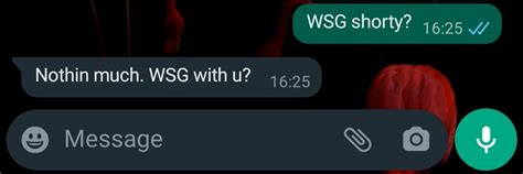 whats does wsg mean|WSG Meaning in Text, and How to Use It in Text Messages